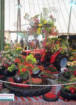 3x4 Hampton Court Flower Show Tractor.jpg (21288 bytes)