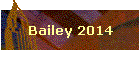Bailey 2014