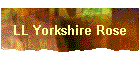 LL Yorkshire Rose