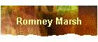Romney Marsh