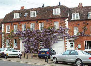 4x3 Woburn Wysteria.jpg (21017 bytes)