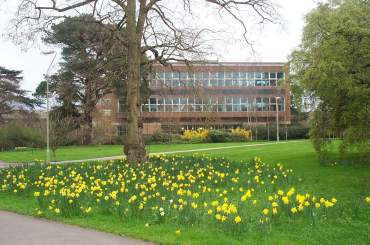 4x3 reading library 2.jpg (19769 bytes)
