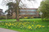4x3 reading library 2.jpg (19769 bytes)