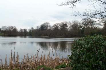 4x3 whiteknights lake.jpg (14591 bytes)