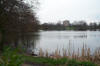 4x3 whiteknights lake 2.jpg (12715 bytes)