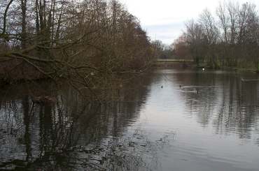 4x3 whiteknights lake 4.jpg (14046 bytes)