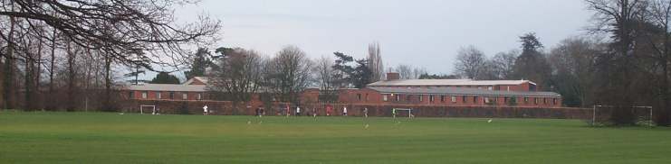 8x2 whiteknights across sports field.jpg (17970 bytes)
