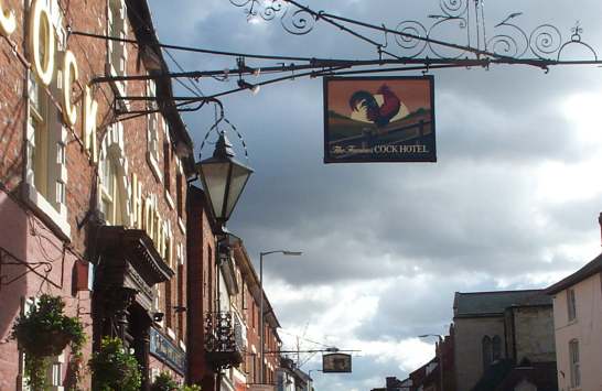 3x2 ss cock and bull.jpg (32194 bytes)