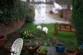 4x3millstfloods002.jpg (10762 bytes)