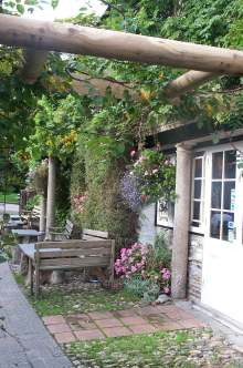 3x4 falcon garden.jpg (17483 bytes)