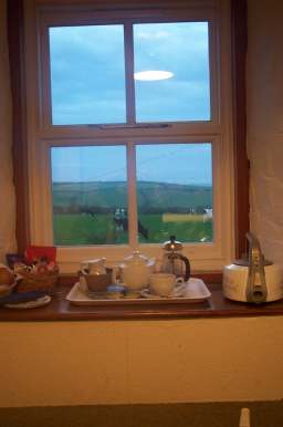 3x4 out of window 2.jpg (9811 bytes)