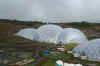 4x3 eden bio.jpg (11194 bytes)