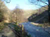Dovedale stream.jpg (7340 bytes)