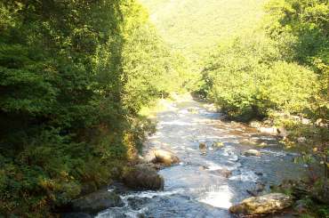 4x3 watersmeet downstream.jpg (19421 bytes)