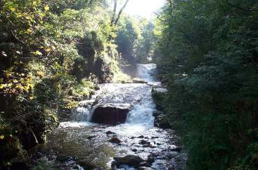 4x3 watersmeet upstream.jpg (19992 bytes)