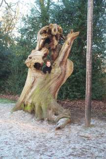 3x4 judy tree 2.jpg (16472 bytes)