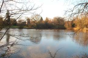 4x3 danbury lake 1.jpg (10576 bytes)
