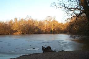 4x3 danbury lake 2.jpg (7855 bytes)