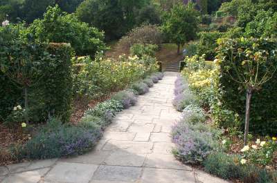 4x3 chartwell golden roses.jpg (23844 bytes)