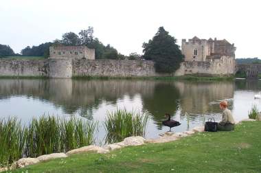 4x3 judy and black swan at leeds castle.jpg (14768 bytes)