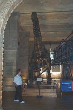 4x3_nh5_brontasaurus.jpg (11493 bytes)