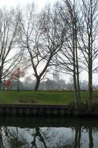2x3 cath from river.jpg (15457 bytes)