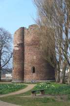 2x3 cow tower vert.jpg (6361 bytes)