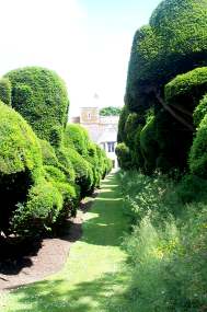 2x3 Beween yew hedge.jpg (12065 bytes)