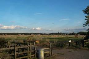 4x3 USAAF field.jpg (6770 bytes)