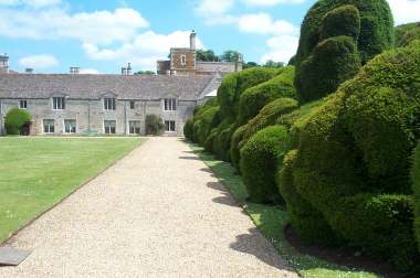 4x3 library wing and yews.jpg (16289 bytes)
