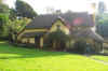 web judy at Periwinkle cottage.jpg (11693 bytes)
