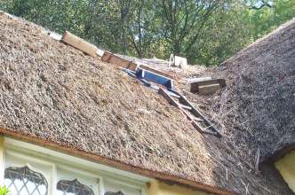 web thatching close 2.jpg (21246 bytes)