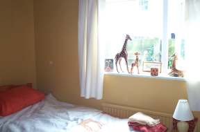 4x3 giraffe window.jpg (5871 bytes)