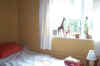 4x3 giraffe window.jpg (5871 bytes)