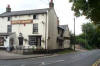 4x3 white horse.jpg (10238 bytes)
