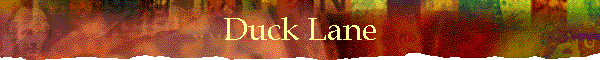 Duck Lane
