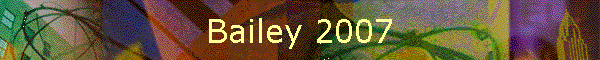 Bailey 2007