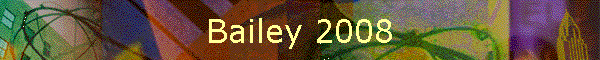 Bailey 2008