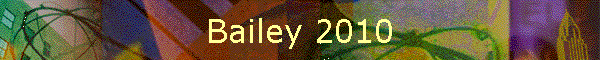 Bailey 2010