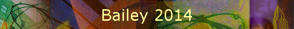 Bailey 2014