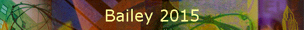Bailey 2015