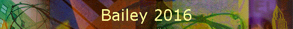 Bailey 2016