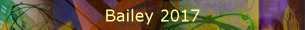 Bailey 2017