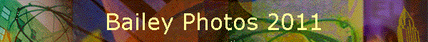 Bailey Photos 2011
