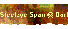 Steeleye Span @ Barbican