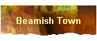 Beamish Town