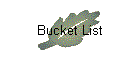 Bucket List