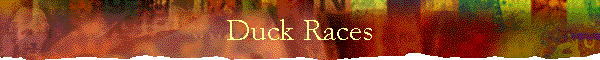 Duck Races