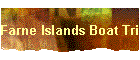 Farne Islands Boat Trip