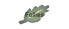 Follies